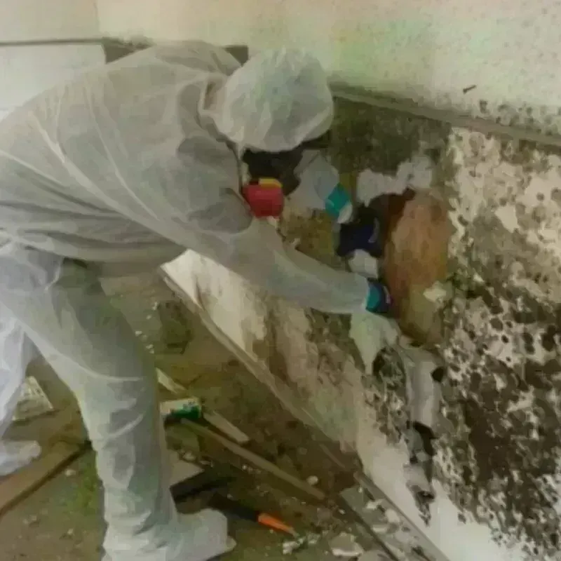 Mold Remediation and Removal in Lincoln County, OK